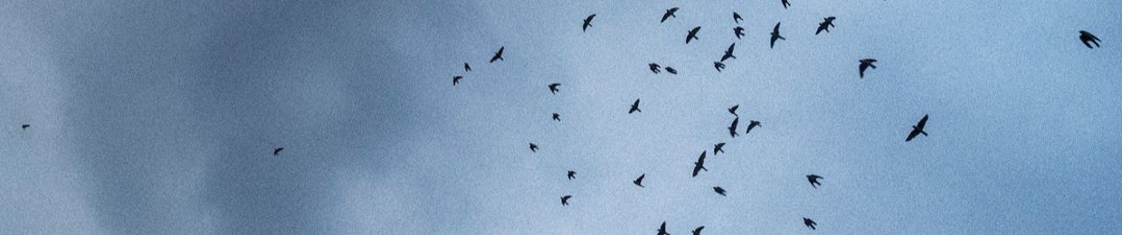 diasqueresolvicantar