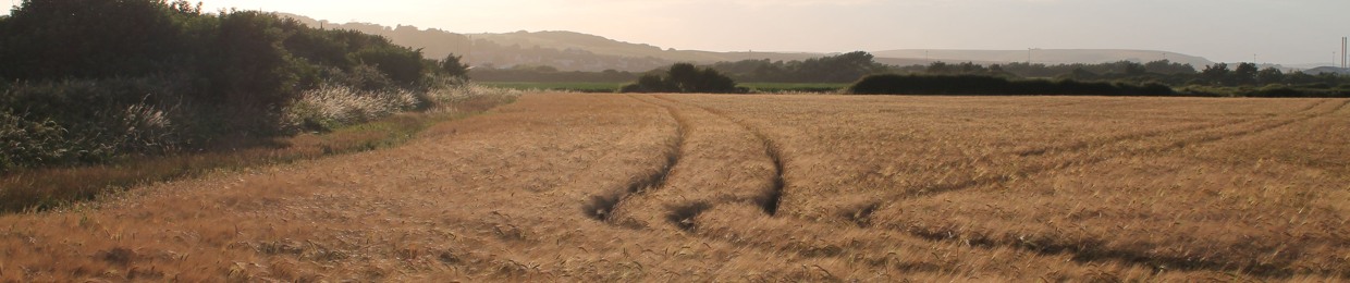 The Seed of Doubt