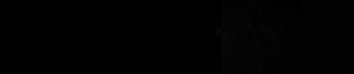 bleeckrdulls