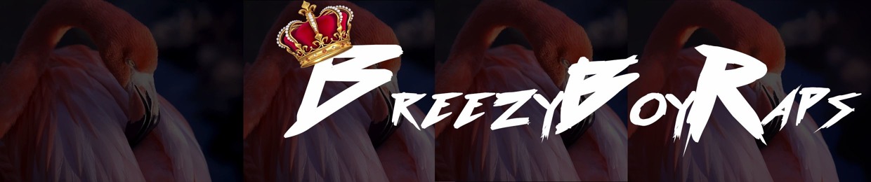 BreezyBoyRaps