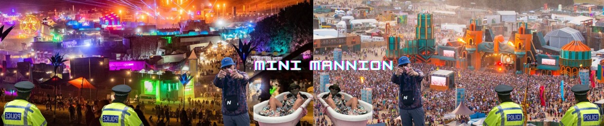 Mini Mannion