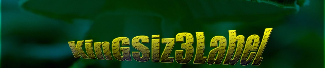 669JunkY35ouLs RaioCP2031