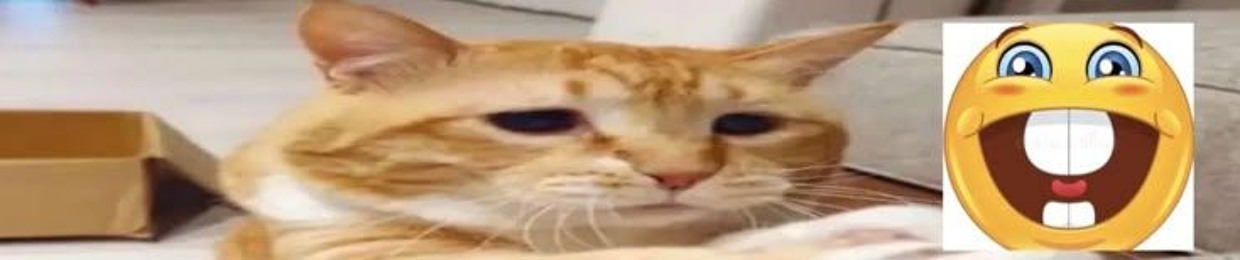 M A Y