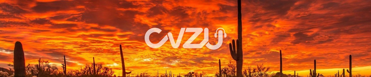 CVZU