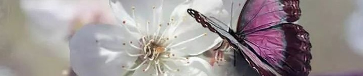 ‫زهرة الجبل‬‎