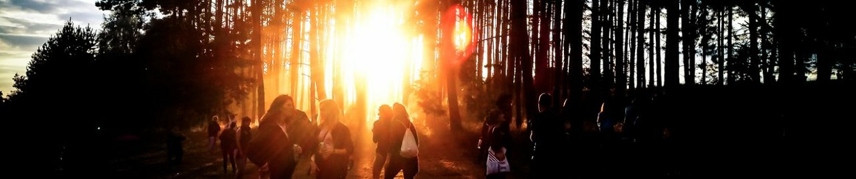 DasHolz VonderZingst