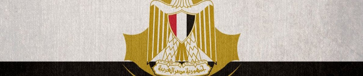 الفنان بيسو محمد