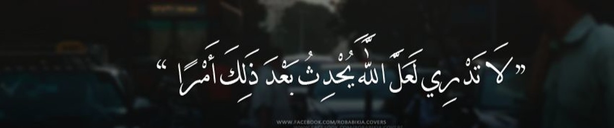 ahmed abdelkhalek