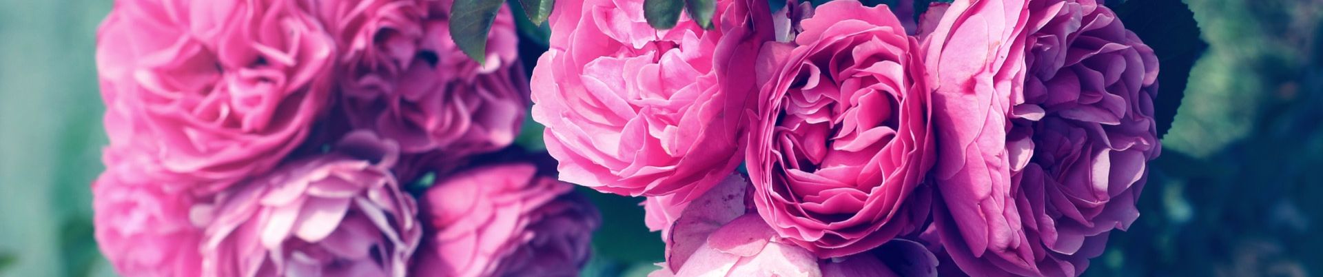 SoundCloud banner for @cholinesterase