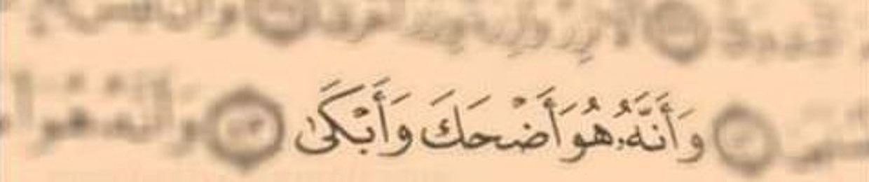 فادي زواتين