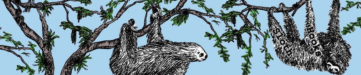 sloth hooks