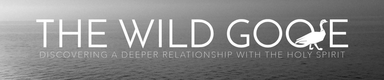 Fr. Dave Pivonka, TOR