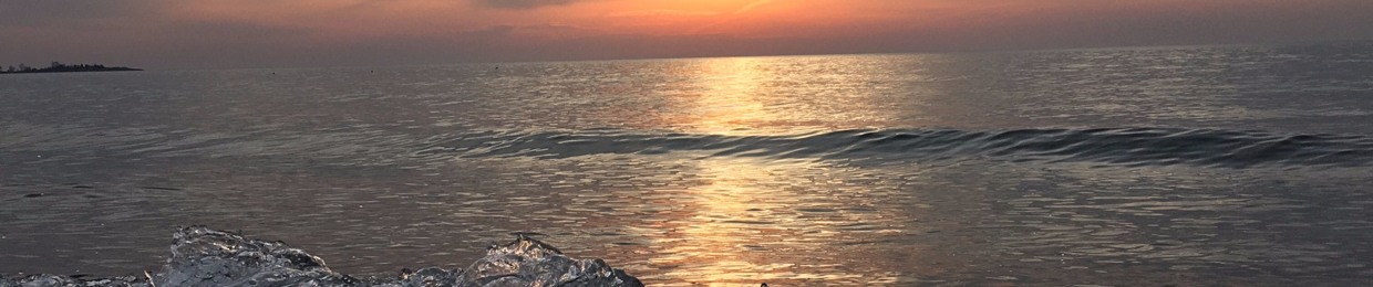 Seashellsoxo