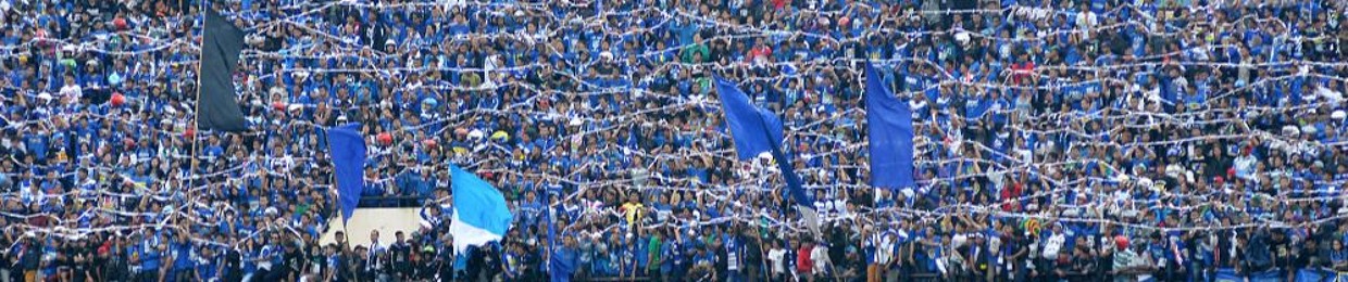 Bobotoh Persib Bersorak