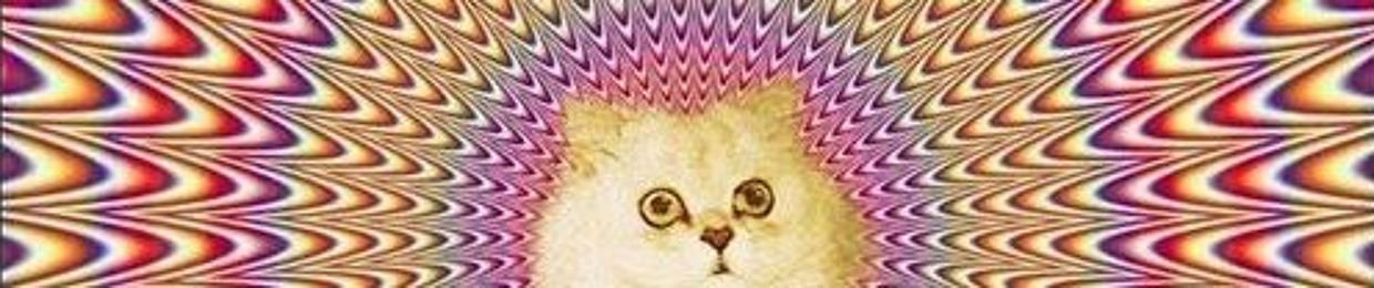 Alice Rn