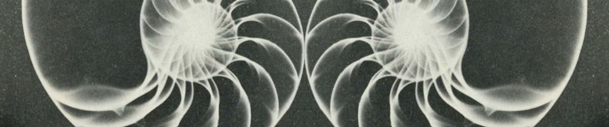 Dafna Weiss