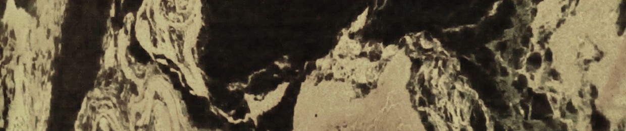 Gatokatze