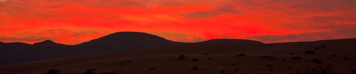 FROM EGYPT WITH VIBES