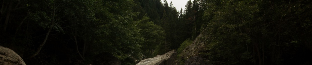 La Thérapie du Singe