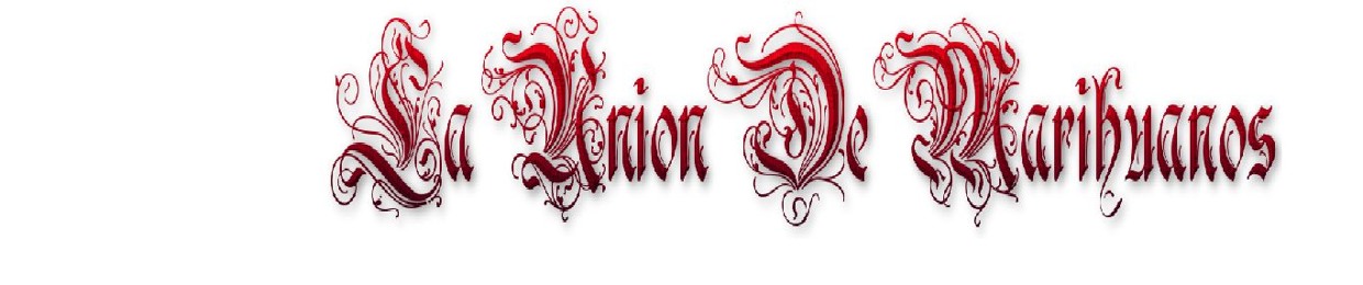 UDM PRODUCCIONES OFICIAL
