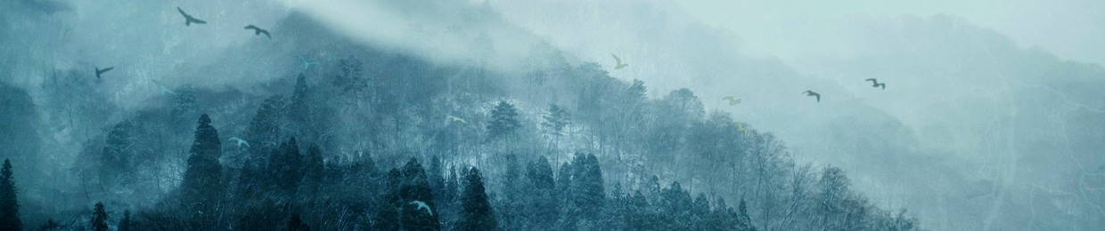 Lúði