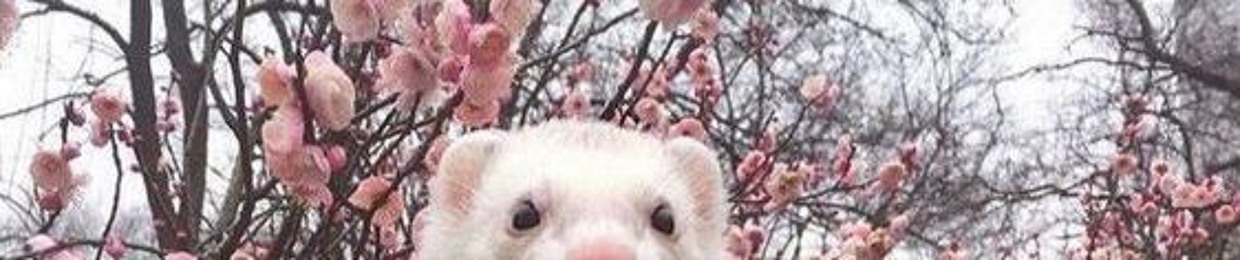 🍂lemonseaslug🍂