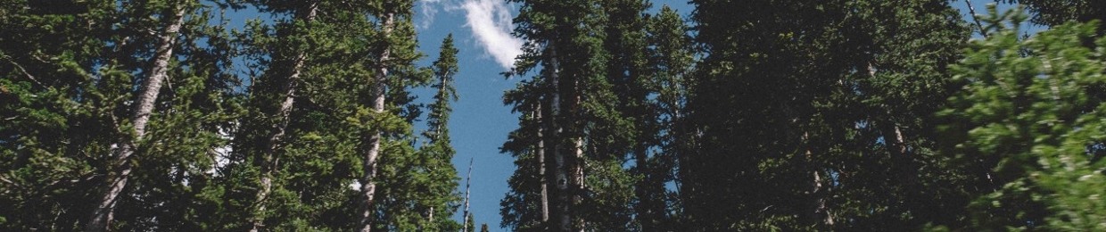 Treeemoji