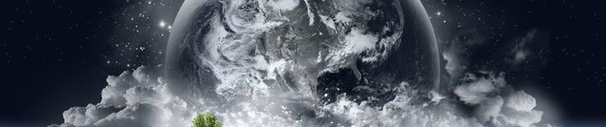 Weverton Shavershian Vvz