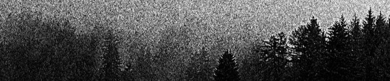 November Chamber