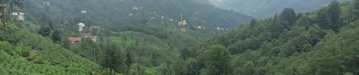 Sertan Avcılar