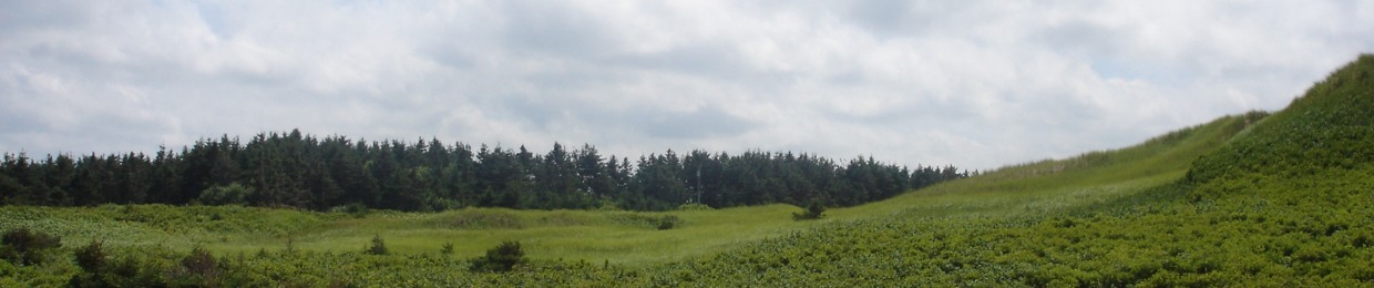 Elizabeth Ann Barlow