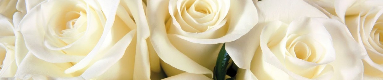 rosette.09