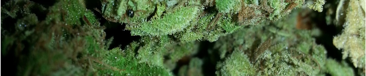 Marvelous Da Martian