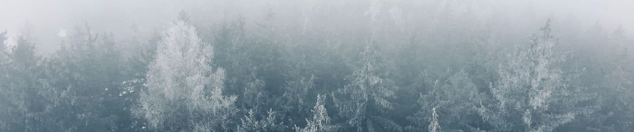 Lukas Midub (Midubsound Official)