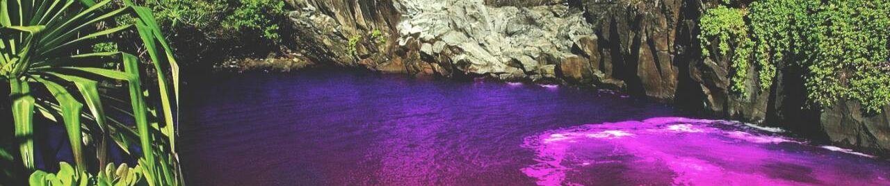 Rels B Made In Taiwan Prod Ibs By Trap Music rels b made in taiwan prod ibs by