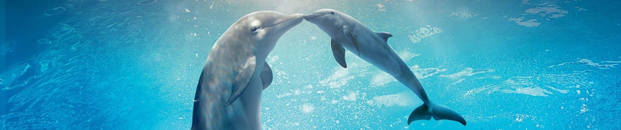 Nguyễn Khánh Tùng