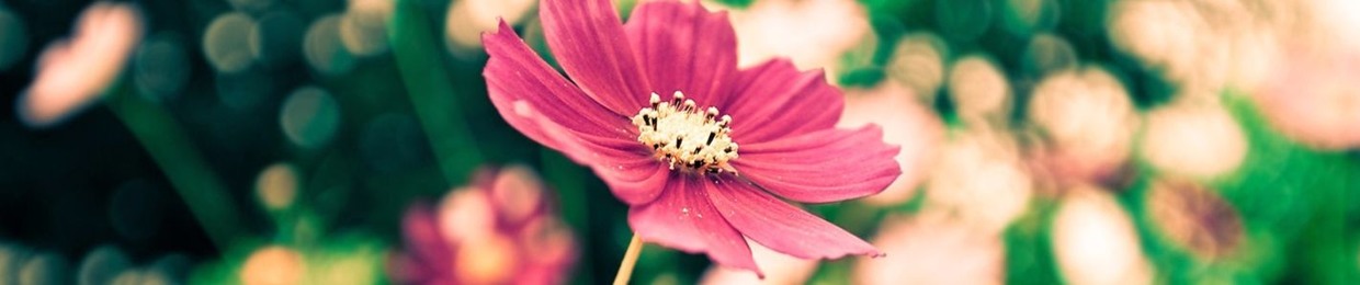 7ησσσ cнαηηєl