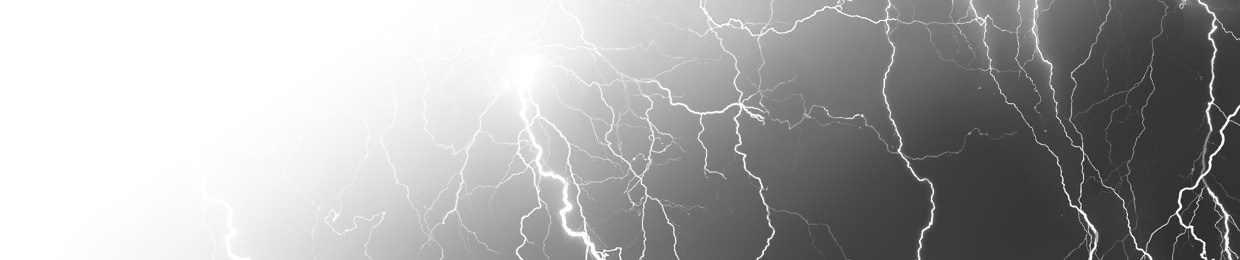 TheElectrifiedFox