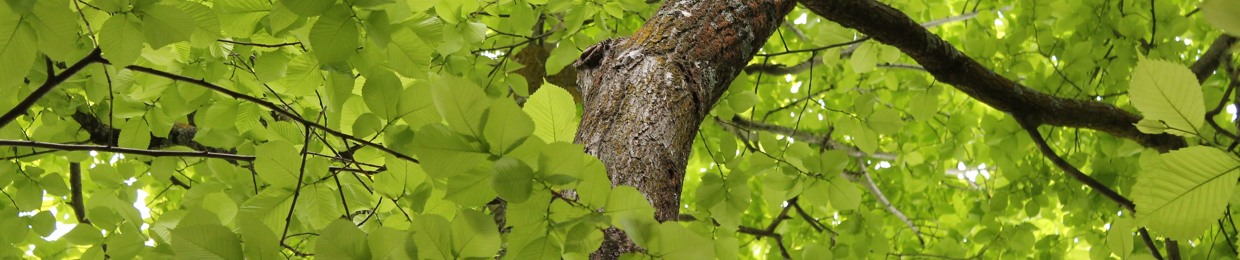 life is too short for such sorrow