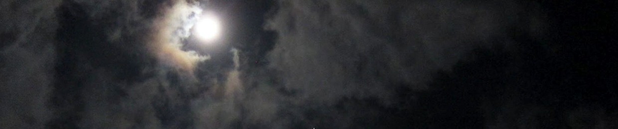 لويس ألبرتو نافاريتي