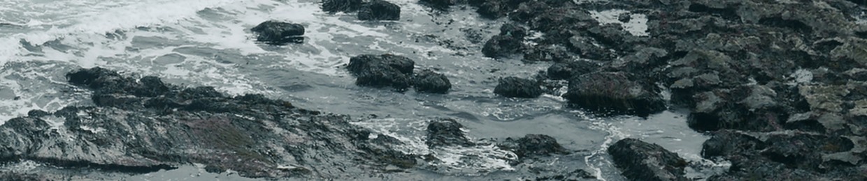 Penguin's Lonely Heart