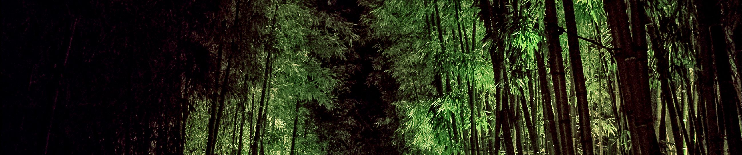 SoundCloud banner for @numerical