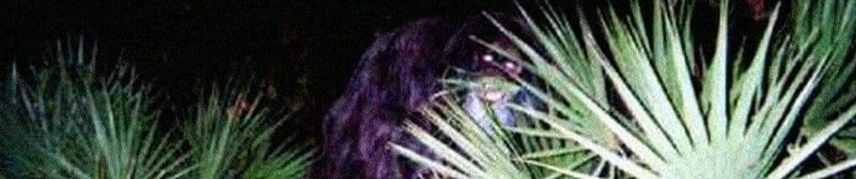 2SPUN