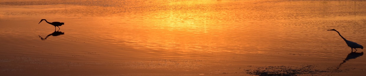 Mason & Matthew Music