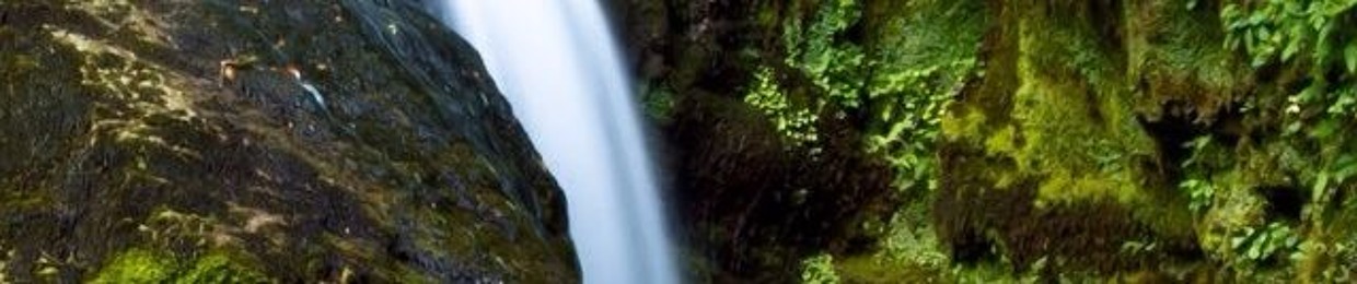 Sunshine Coast Music