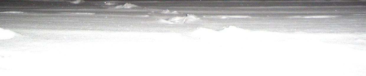 Ferrawinter