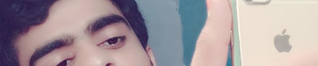 shahab raees