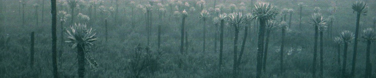 Scene Eight