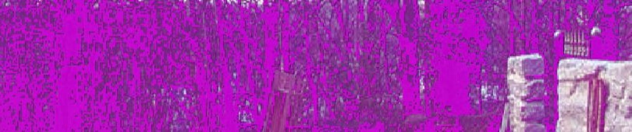 T Y L