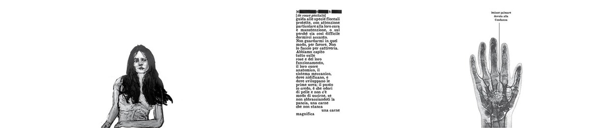 MANUALESULLEROSE